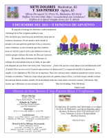 Bulletin en Español 12.08.2024